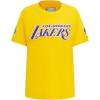Big Boys NBA Classic Chenille Cotton Short Sleeve Tee(Yellow)