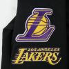 Pro Standard Big Boys NBA Los Angeles Lakers Lebron James #23 Classic Player Pull Over Hoodie Black L
