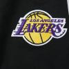 Pro Standard Big Boys NBA Los Angeles Lakers Lebron James #23 Classic Player Pull Over Hoodie Black L