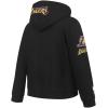 Pro Standard Big Boys NBA Los Angeles Lakers Lebron James #23 Classic Player Pull Over Hoodie Black L