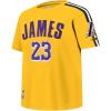 Pro Standard Big Boys NBA Los Angeles Lakers Lebron James #23 Classic Player Short Sleeve Taping Tee Yellow/Black M