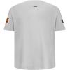 Pro Standard Big Boys NFL Chicago Bears Classic Chenille Short Sleeve Tee Heather Grey XL