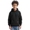 Pro Standard Big Boys NFL Classic Chenille Pull Over Hoodie Cardinal(Black)