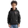 Pro Standard Big Boys NFL Classic Chenille Pull Over Hoodie Cardinal(Black)