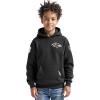 Pro Standard Big Boys NFL Classic Chenille Pull Over Hoodie Cardinal(Black)