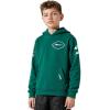 Pro Standard Big Boys NFL Classic Chenille Pull Over Hoodie Cardinal(Forest Green)