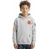 Pro Standard Big Boys NFL Classic Chenille Pull Over Hoodie Cardinal(Heather Grey)