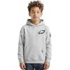 Pro Standard Big Boys NFL Classic Chenille Pull Over Hoodie Cardinal(Heather Grey)