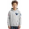 Pro Standard Big Boys NFL Classic Chenille Pull Over Hoodie Cardinal(Heather Grey)