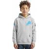 Pro Standard Big Boys NFL Classic Chenille Pull Over Hoodie Cardinal(Heather Grey)