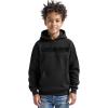 Pro Standard Big Boys NFL Classic Triple Black Pull Over Hoodie(Black)