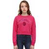 Pro Standard Big Girls NFL Classic Triple Pink Crewneck Sweatshirt(Beetroot Purple)