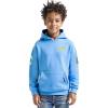 Pro Standard Big Boys NFL Classic Chenille Pull Over Hoodie Cardinal(University Blue)