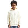 Pro Standard Big Boys NFL Neutral Pull Over Hoodie(Eggshell)