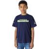 Pro Standard Big Boys NFL Seattle Seahawks Classic Chenille Short Sleeve Tee Midnight Navy M
