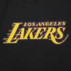 Pro Standard Big Boys NBA Los Angeles Lakers Lebron James #23 Classic Player Short Sleeve Tee Black L