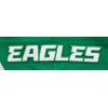 Pro Standard Mens NFL Classic Chenille Full Zip Hoodie(Kelly Green)