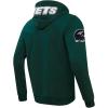 Pro Standard Mens NFL Classic Chenille Pull Over Hoodie(Green)