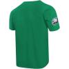 Pro Standard Mens NFL Classic Chenille Short Sleeve Tee(Kelly Green)