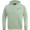 Pro Standard Mens NFL Neutral Pull Over Hoodie(Moss)