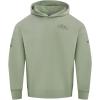 Pro Standard Mens NFL Neutral Pull Over Hoodie(Moss)