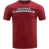 Pro Standard Mens NFL Classic Chenille Short Sleeve Tee(Cardinal Red)
