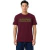 Pro Standard Mens NFL Classic Chenille Short Sleeve Tee(Wine)