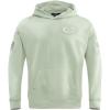 Pro Standard Mens NFL Neutral Pull Over Hoodie(Moss)