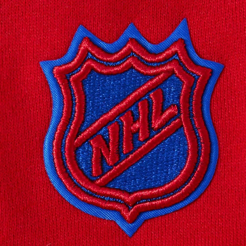 image:imagePro Standard NHL mens Mens Nhl Wingspan Fleece Pull Over HoodieRed