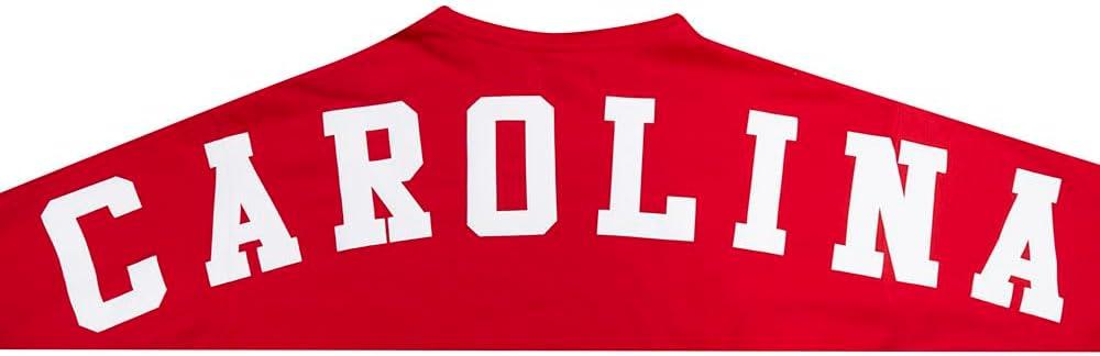 image:imagePro Standard NHL mens Mens Nhl Wingspan Fleece Pull Over HoodieRed