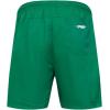 Pro Standard NBA Mens Mens NBA Classic Woven Woven Short(Kelly Green)