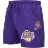 Pro Standard NBA Mens Mens NBA Classic Woven Woven Short(Purple)