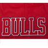 Pro Standard NBA Mens Mens NBA Classic Woven Woven Short(Red)