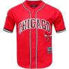 Pro Standard NBA Mens Mens NBA Mesh Button Down Top(Red)