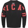 Pro Standard NBA mens Mens Nba Wingspan Fleece Crewneck Sweatshirt(Black)