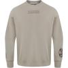 Pro Standard NBA mens Mens Nba Wingspan Fleece Crewneck Sweatshirt(Taupe)