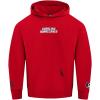 Pro Standard NHL mens Mens Nhl Wingspan Fleece Pull Over Hoodie(Red)