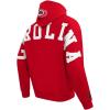 Pro Standard NHL mens Mens Nhl Wingspan Fleece Pull Over Hoodie(Red)