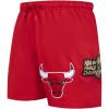 Pro Standard NBA Mens Mens NBA Classic Woven Woven Short(Red)