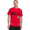Pro Standard NBA Mens Mens NBA Modern Originals Cotton Short Sleeve Tee(Red)