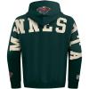 Pro Standard NHL mens Mens Nhl Wingspan Fleece Pull Over Hoodie(Forest Green)