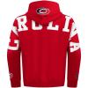 Pro Standard NHL mens Mens Nhl Wingspan Fleece Pull Over Hoodie(Red)