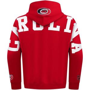 Pro Standard NHL mens Mens Nhl Wingspan Fleece Pull Over Hoodie(Red)