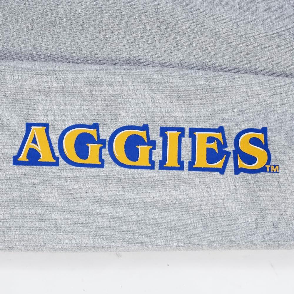 image:imagePro Standard NCAA mens Mens College Classic Chenille Brushed Back French Terry Pull Over HoodieHeather GreyDodger Blue
