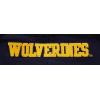 Pro Standard Mens College University Of Michigan College Classic Chenille Pull Over Hoodie Midnight Navy 3XL