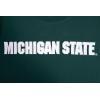 Pro Standard Mens Michigan State University Classic Chenille Short Sleeve Tee Forest Green L