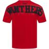 Pro Standard NCAA Mens Mens College Wingspan Cotton Short Sleeve Tee(Red)