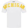 Pro Standard NCAA Mens Mens College Wingspan Cotton Short Sleeve Tee(White)