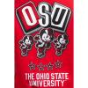 Pro Standard NCAA mens Mens College Campus Ransom Wool Varsity Jacket(Red/White)