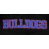 Pro Standard NCAA mens Mens College Classic Chenille Brushed Back French Terry Pull Over Hoodie(Black/Dodger Blue)